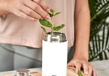 Fresh peppermint tea with ginger