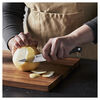 Pro, 4-inch, Paring Knife, small 9