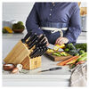 TWIN Signature, 19-pc, Knife Block Set, small 16