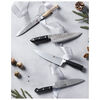 Kramer - EUROLINE Stainless Damascus Collection, 8-inch, Chef's Knife, small 10
