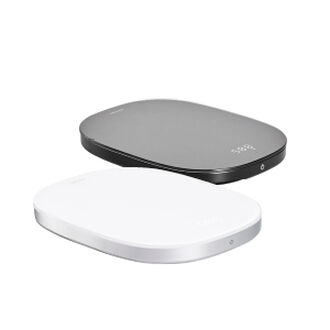 Food Scales